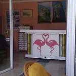Flamingo Corfu Moraitika