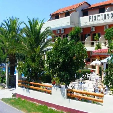 Flamingo Corfu