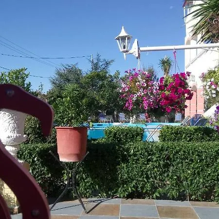 Flamingo Corfu