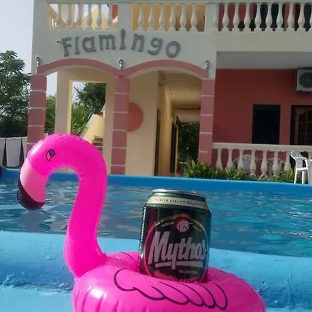 Flamingo Corfu Moraítika