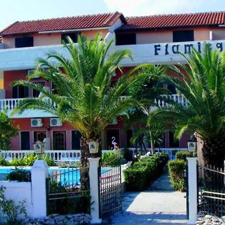 Flamingo Corfu