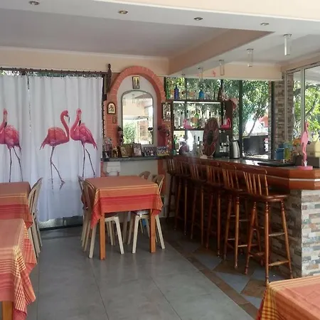 Flamingo Corfu