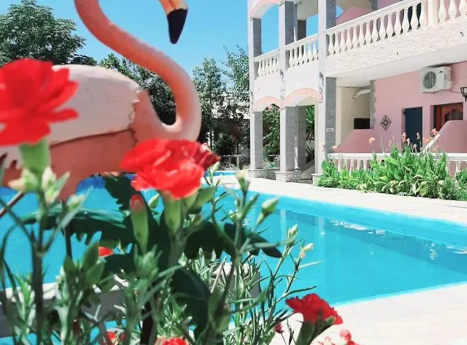 Flamingo Corfu