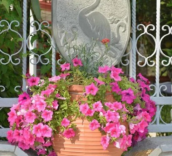 Flamingo Corfu Aparthotel