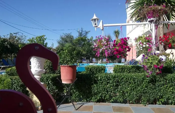 Flamingo Corfu