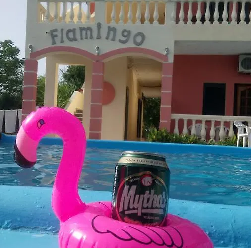 Flamingo Corfu Moraitika