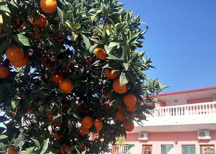 Hotel de apartamente Flamingo Corfu Moraitika