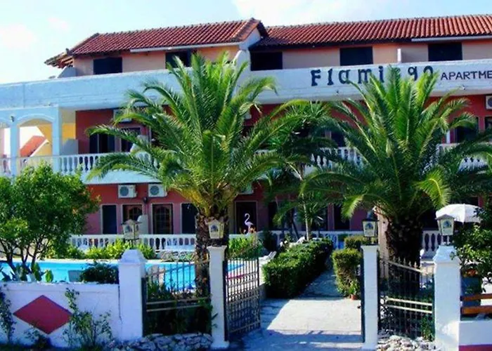 Flamingo Corfu