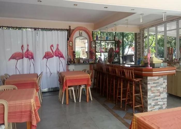 Flamingo Corfu