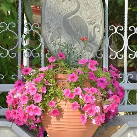 Flamingo Corfu شقة فندقية