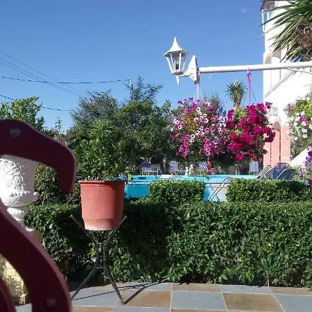 Flamingo Corfu
