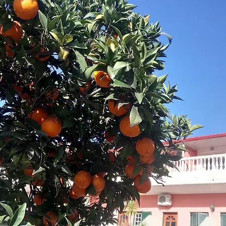 Lejlighedshotel Flamingo Corfu Moraitika