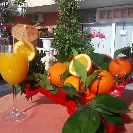 Flamingo Corfu 3*