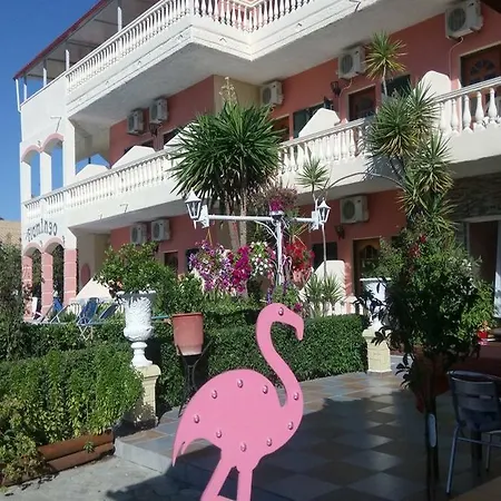 Flamingo Corfu